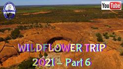 Wildflower trip 2021 - Part 6
